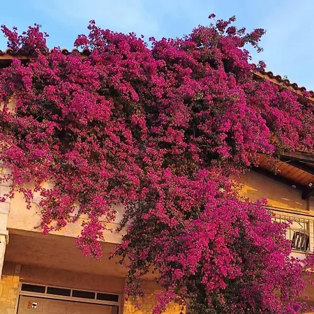 Agapi Holiday House Lodge